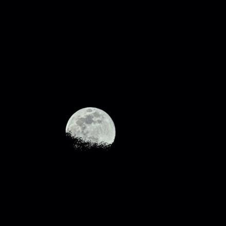 moon rise