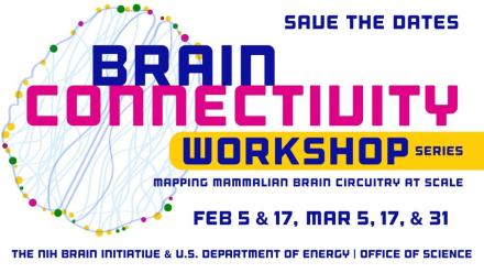 BRAIN Connectivity Workshop Series (Mapping Mammalian Bain Circuitry at Scale) Save the Dates (February 5 & 17 and March 5, 17 & 31). The NIH Brain Institute & US Department of Energy- Office of Science..