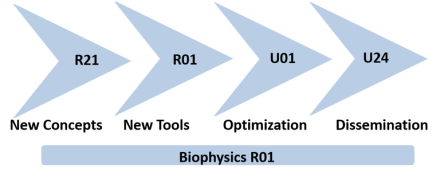 Biophysics R01: New Concepts (R21), New Tools (R01), Optimization (U01), Dissemination (U24)