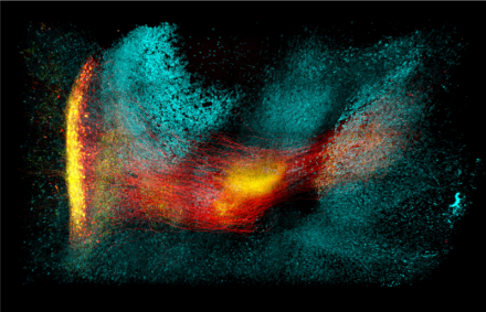 Neural Circuit in the Storm - Third Place Photo Winner 2019