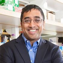 Picture of Dr. Jay Shendure smiling.