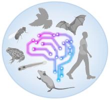 Circular logo with a wiring diagram shaped like a brain surrounded by various animal species used in research