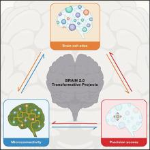 BRAIN 2.0 Transformative Projects Diagram (400px)