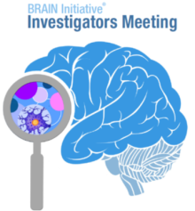 <img typeof="foaf:Image" class="img-responsive" src="https://braininitiative.nih.gov/sites/default/files/news_events/brain-pi-meeting.png" width="362" height="390" alt="" />