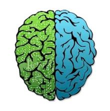 Neuroethics brain logo