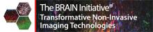 <img typeof="foaf:Image" class="img-responsive" src="https://braininitiative.nih.gov/sites/default/files/news_events/new-brain_imaging_banner_mar_1920_new_cvent.jpg" width="1920" height="400" alt="" />