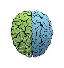 BRAIN image