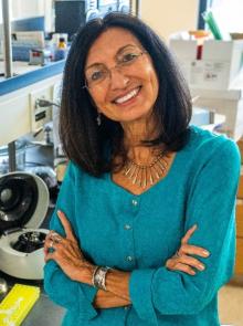 A picture of Dr. Elba Serrano, standing with arms crossed.